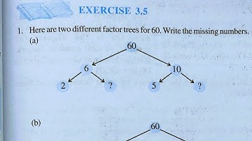 Class 6th maths l Exercise 3.5 l Chapter 3 l playing with number l NCERT l Solution l cbse board
