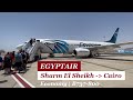 EgyptAir: Sharm El Sheikh to Cairo, Egypt | Economy (B737-800) | A Glimpse of Pyramid from Above!