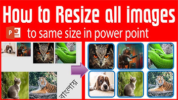 How to Resize all images to same size in power point