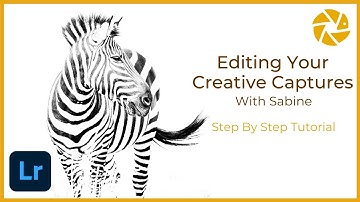 Editing your CREATIVE Wildlife Photography Images with Sabine on Adobe Lightroom.