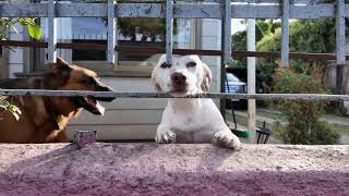 Donna Regina - Nothing Heavy