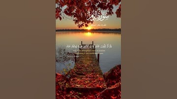 وإذا ذكر الله وحده(تلاوة من سورة الزمر )🌹قرآن كريم 🌹القارئ ماهر المعيقلي