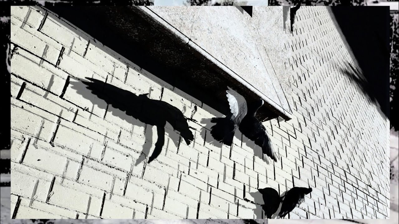 Глеб Самойлов // Фан-Творчество // «No Comment.Soundtrack» // «Городские Зарисовки» (ч. 5)