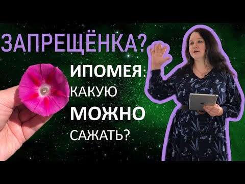 ИПОМЕЯ под запретом? Разбираемся!