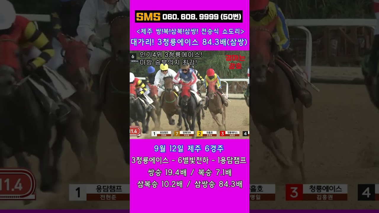 9/12(토)💣84.3배!(삼쌍) 가는말을 알아야! 19.4배 주력! / 이런게 한구라입니다. 🐎 인기1위에 쫄지마!