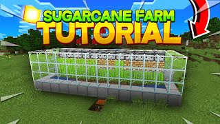 Mastering Sugar Cane Farming In Minecraft 1.20 - Simple Tutorial!