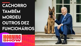 Cachorro de Biden morde agente do serviço secreto dos EUA