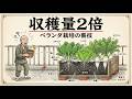 「野菜が2倍育つ プランター栽培の裏技8選|マンションでもできる農家の知恵」