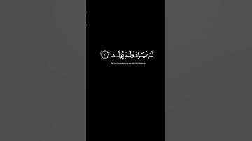 سوره الإخلاص كروما سوداء | الشيخ #الحصري مجود 🖤