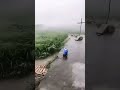 RELAXAR Vento Super Forte Furacão 