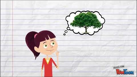 Properties of language