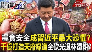 【關鍵時刻全集】20230428 糧食安全成習近平最大恐懼？ 千億打造人間仙境「天府綠道」全砍光退林還耕！？科技軍事層層封鎖！美軍西太平洋重兵佈陣… 海空「核殺器」南北夾擊中國！？｜劉寶傑