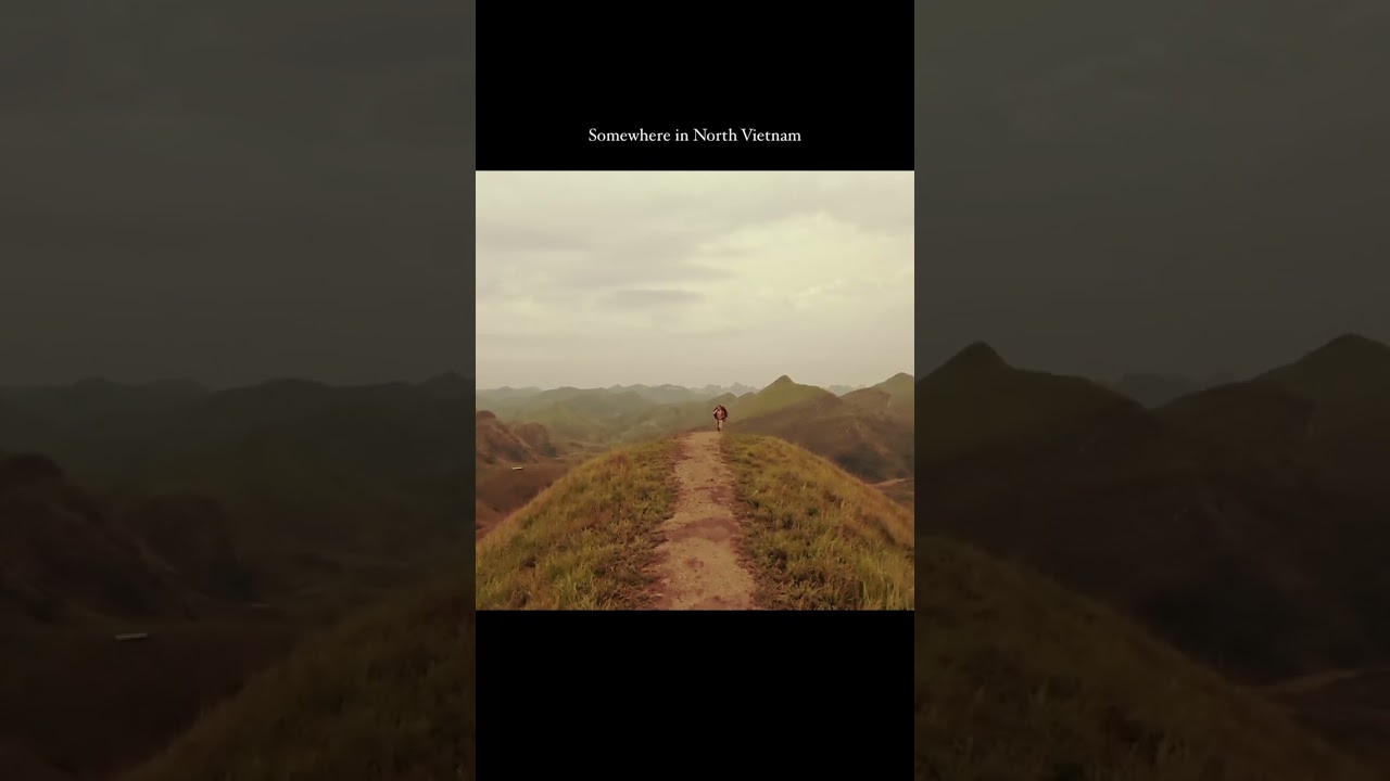 Grave of the fireflies