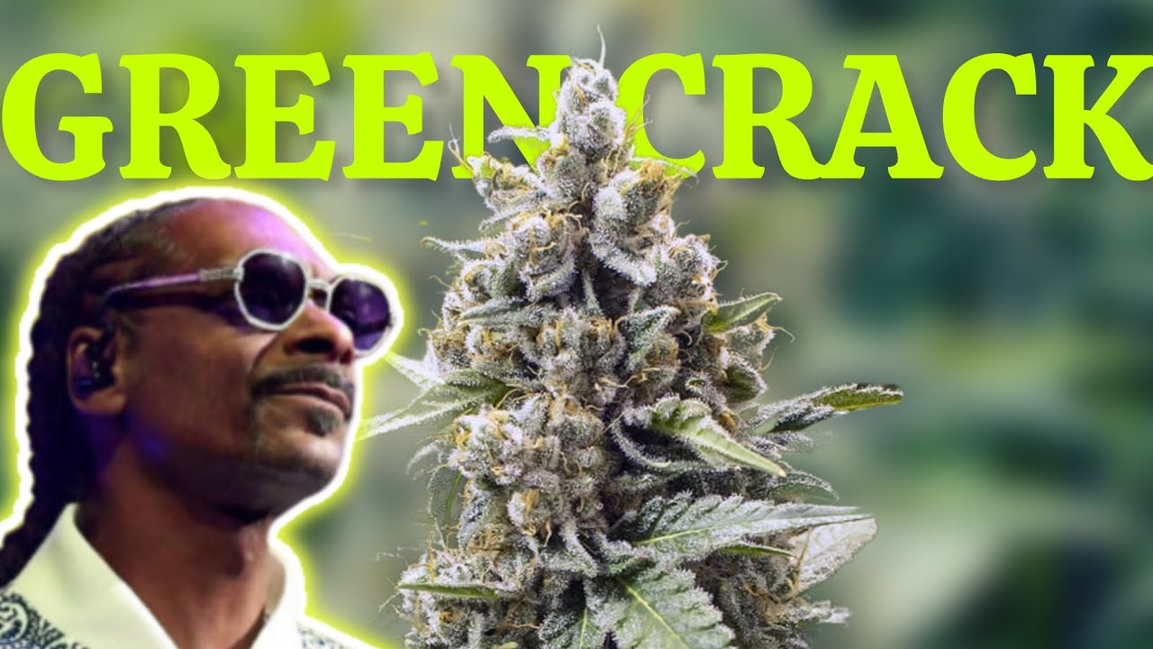 What is Green (C)rack?