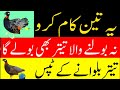 3        100   کالا تیتر جو نہ بولتا ہو نسخہ