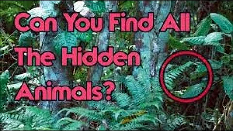 NOBODY CAN SEE ALL THE HIDDEN ANIMALS||OPTICAL ILLUSION||BRAIN TEASER||