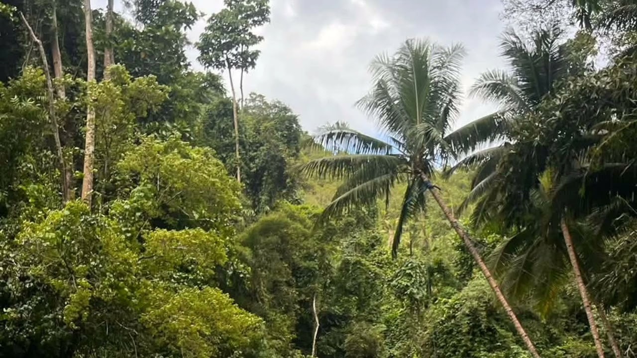 Sa Iyong Kamay ang Lahat 1