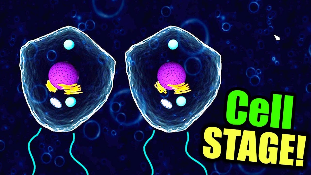 my-cell-has-doubled-epic-cell-stage-survival-evolution-game-thrive-gameplay-youtube