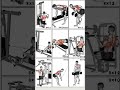 9 exercise for beginners || beginners don't forget || #shortvideo #viral #back