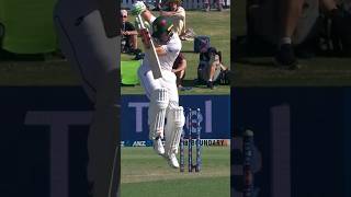 What a catch! 🏏 #DevonConway #Cricket