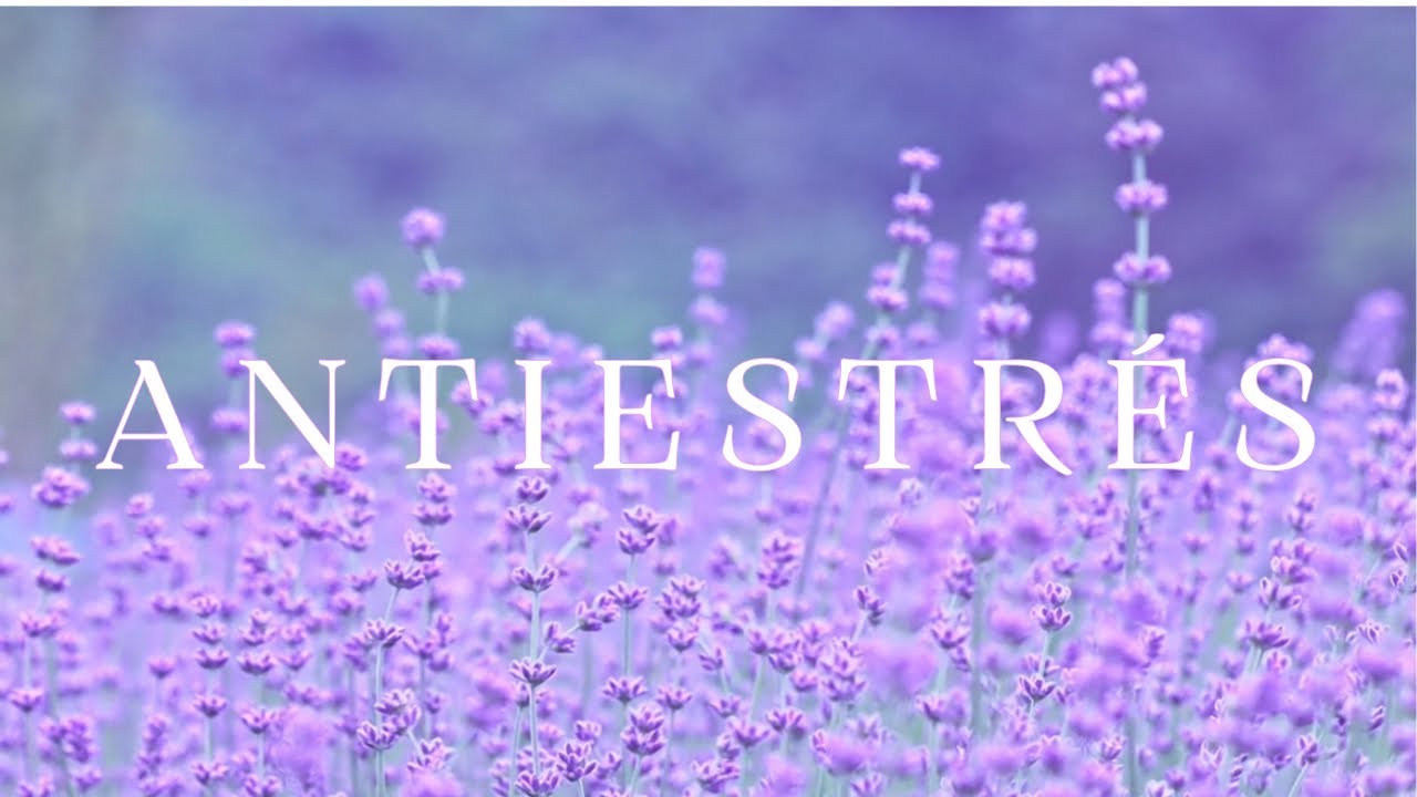 ANTIESTRÉS 💜 Música Relajante para Calmar la Mente y Reducir la Ansiedad