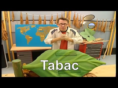 Vidéo: Les plants de tabac sentent-ils ?