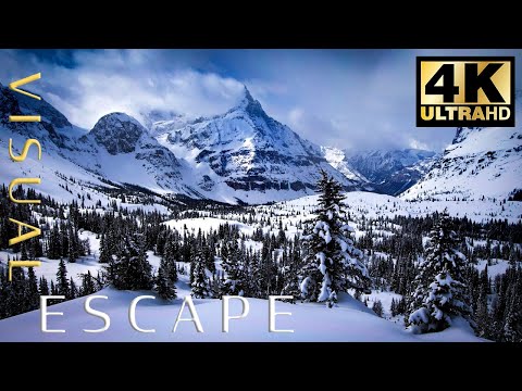 Blizzard Sounds for Sleep and Relaxation – Snowstorm Sounds & Howling Wind in the Mountains