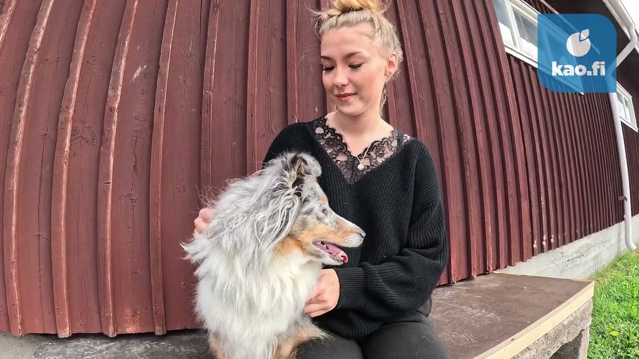 Kesäisiä päiviä Seppälässä