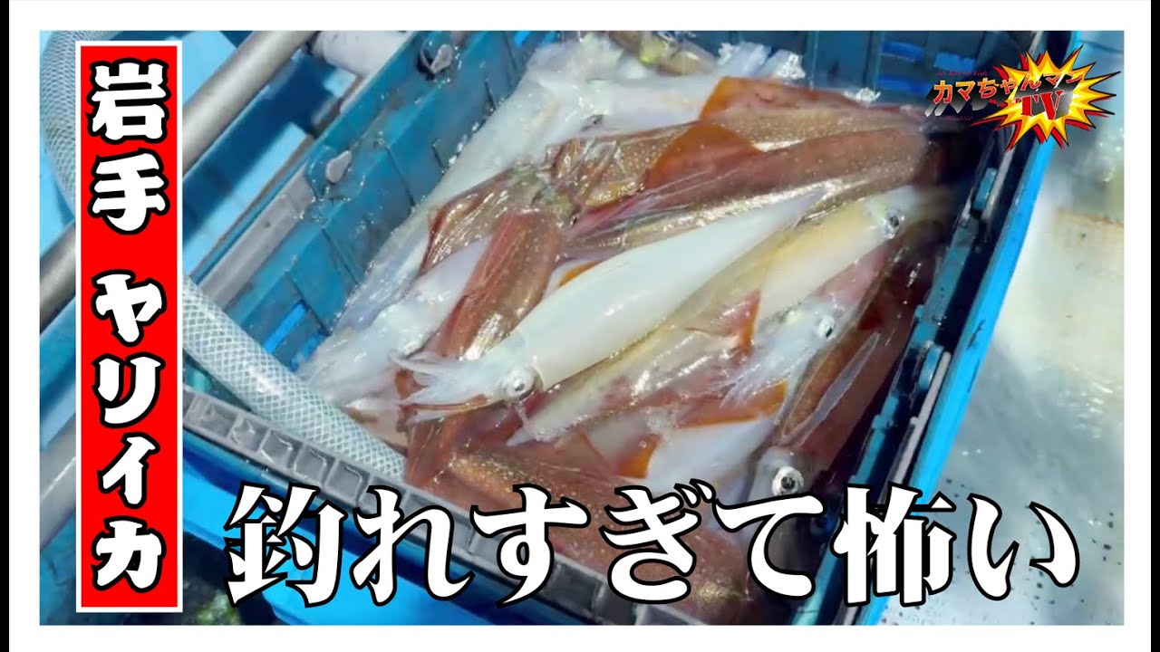 【岩手釣り】ヤリイカ！スーパーXデイ！