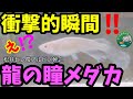 衝撃的瞬間！龍の瞳メダカを横見で眺めていたらアルビノの目が【松井ヒレ長アルビノ幹之】日本メダカ協会員さんのビニールハウス！安らぎAQUAちゃんねる