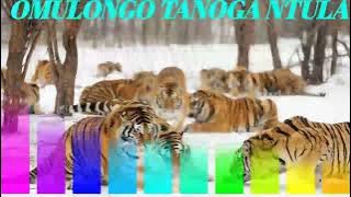 Omulongo Tanoga Ntula (Lubale songs)