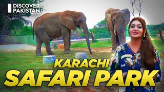 Wild Wonders Await | Unleash Fun at Safari Park Karachi | Hello Karachi | Discover Pakistan