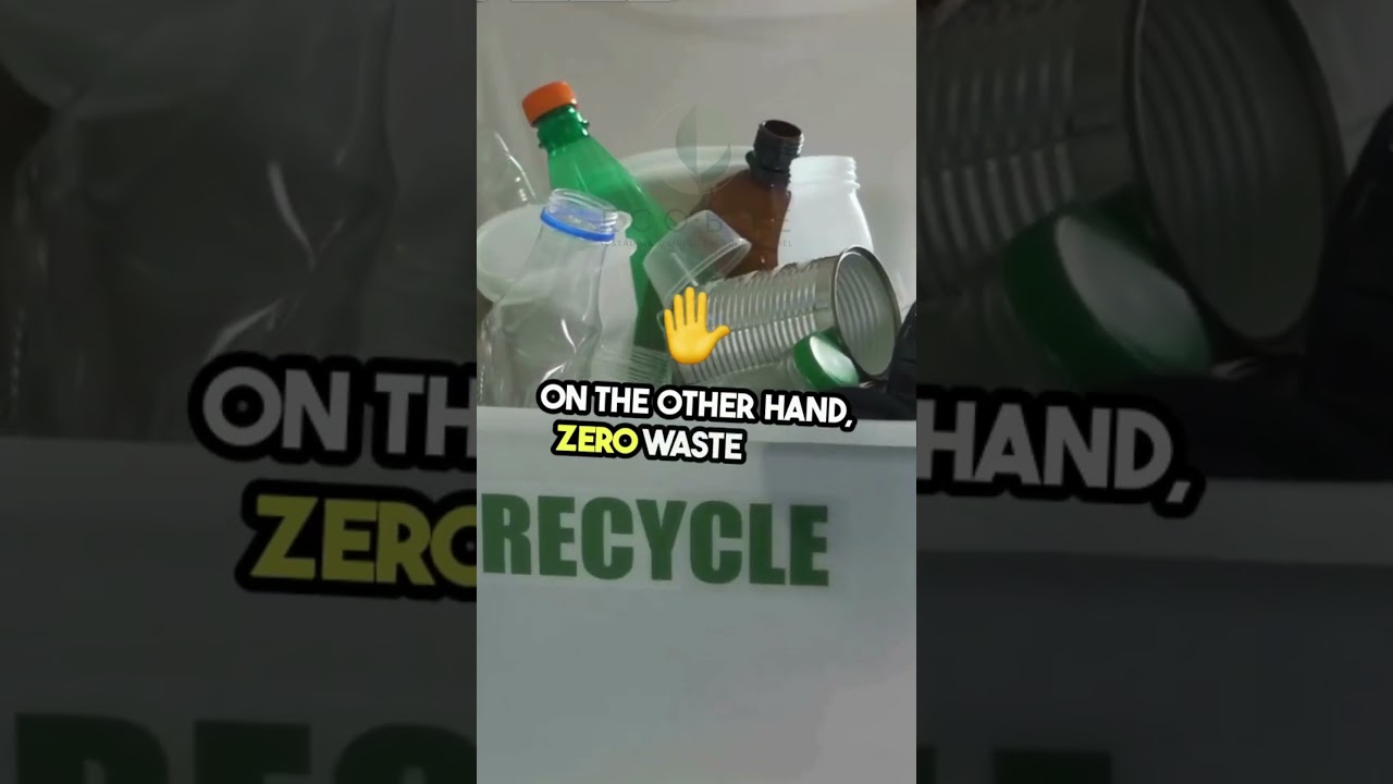 Minimalist vs  Zero Waste  Choose Your Path!   