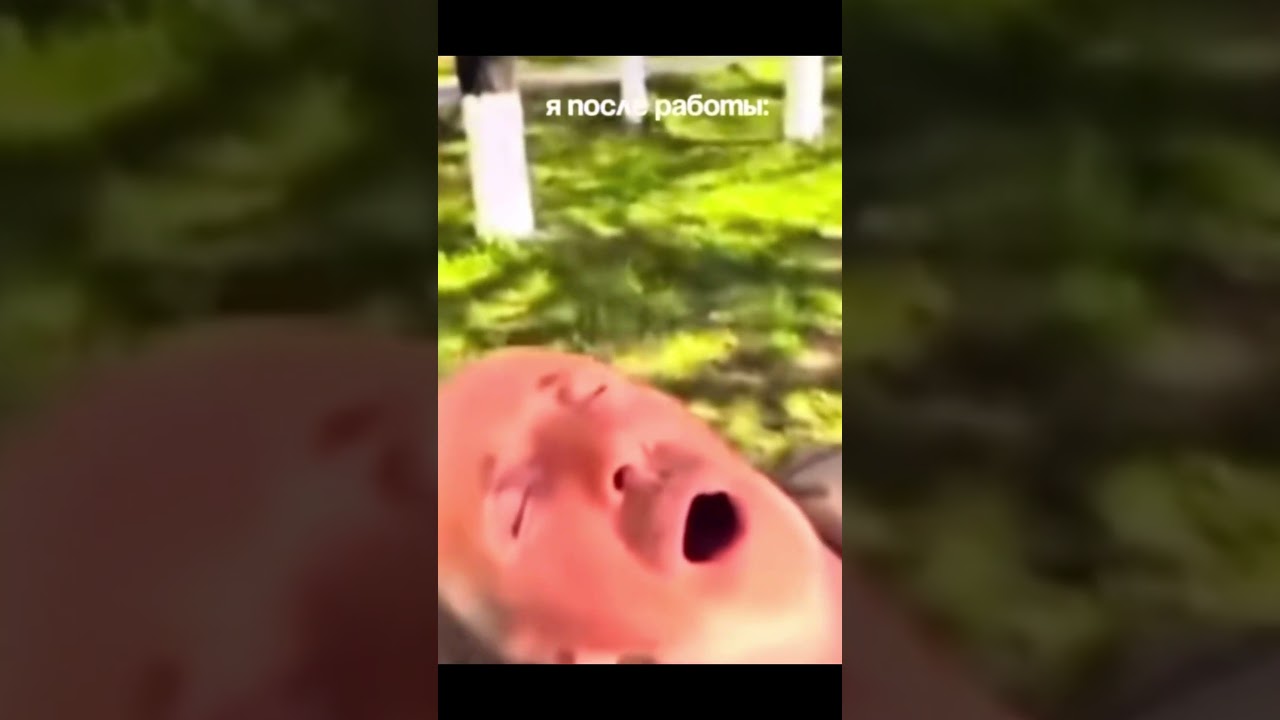 Жиза жизненная 