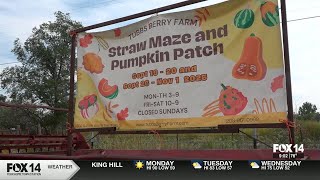 Local farm getting ready for the fall Festivities