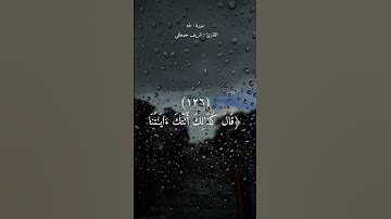 فمن اتبع هداي فلا يضل ولا يشقى | القارئ شريف مصطفى