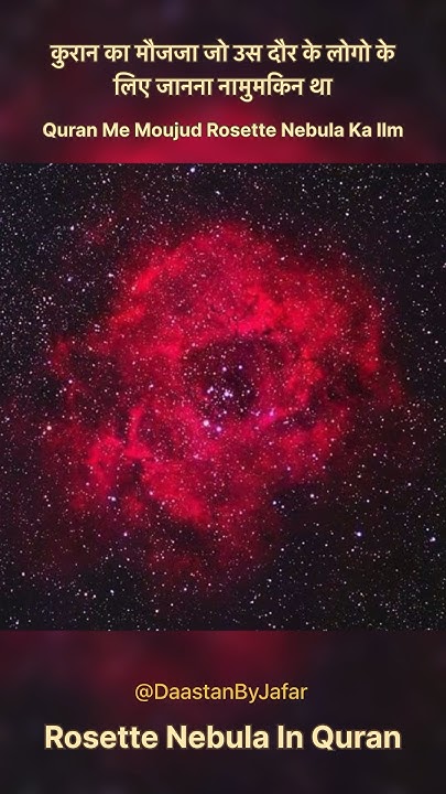 ROSETTE rosette