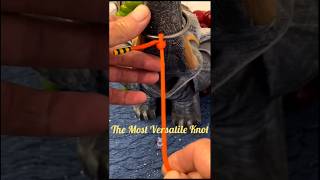 Basic Knot tutorials life hacks. #diy #lifeknots #shorts