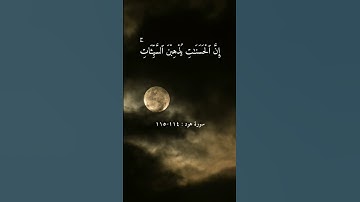 سورة هود : ١١٤-١١٥