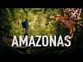 Cuatro días en el AMAZONAS peruano: Parque del Manu - Viaje a Perú #6