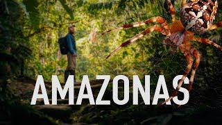 Cuatro días en el AMAZONAS peruano: Parque del Manu - Viaje a Perú #6