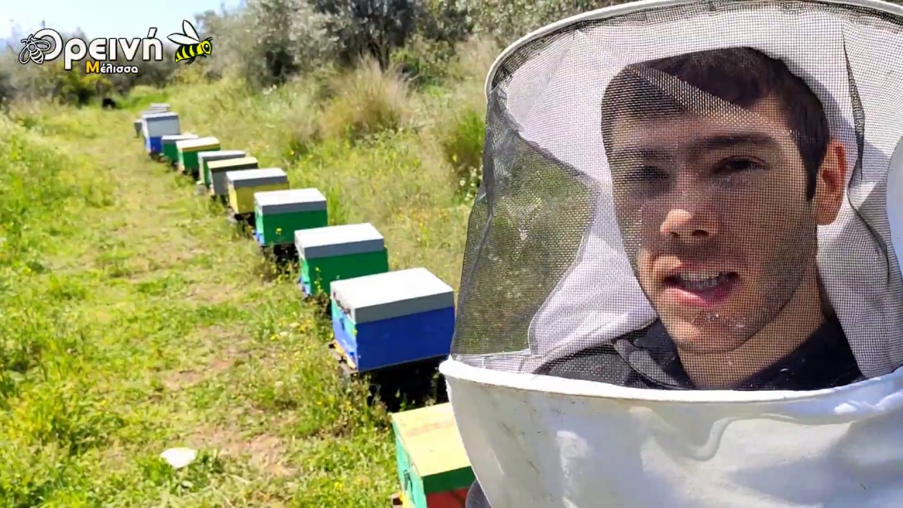 TOP πατέντα για πετυχημένες παραφυάδες και τσεκ στη παγίδα 10 ΑΠΡΙΛΙΟΥ