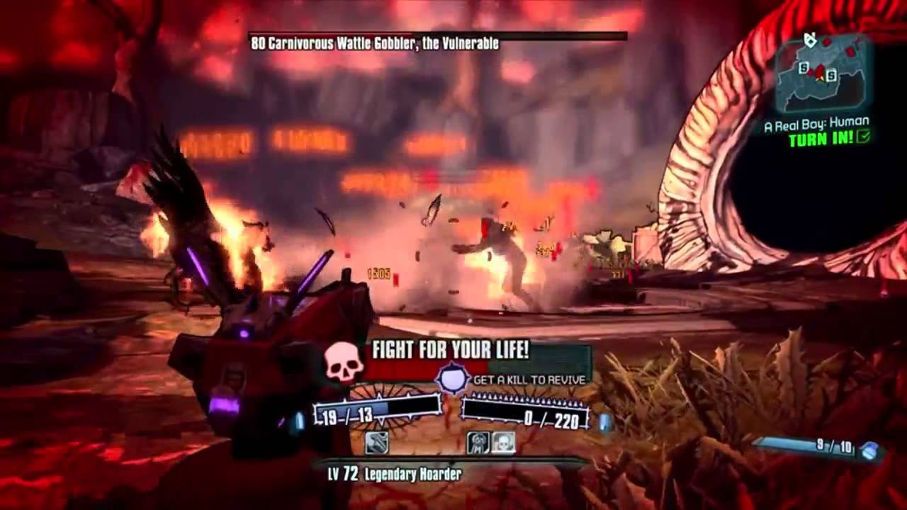 Dual Grog Kill on Wattle Gobbler