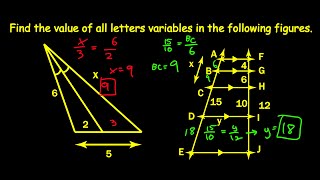 Famous Angle Bisector Theorem: Solving Similar Triangles with Proportions Net Worth