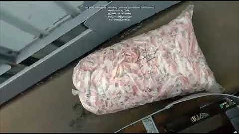 Sea fish block loading and Unloading Conveyor System.