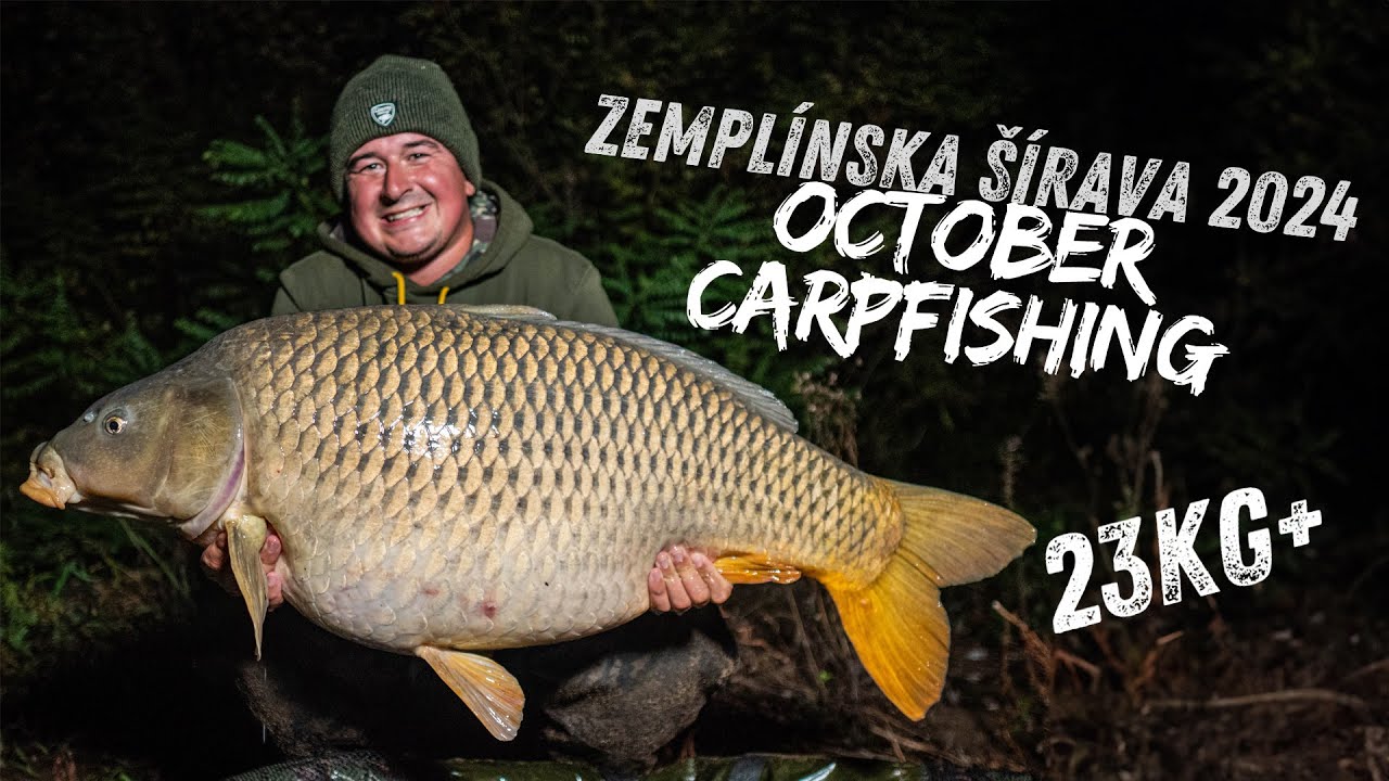 Lov kapra - Zemplínska Šírava Október 2024 - Šírava vydala 31kg+ Kapra!