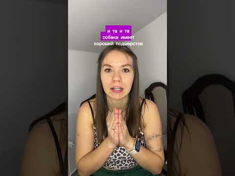 Как вам гладкошерстные Бк? #дрессировка #bordercollie #bk#бордерколли #dog #дрессировкащенка #трюки