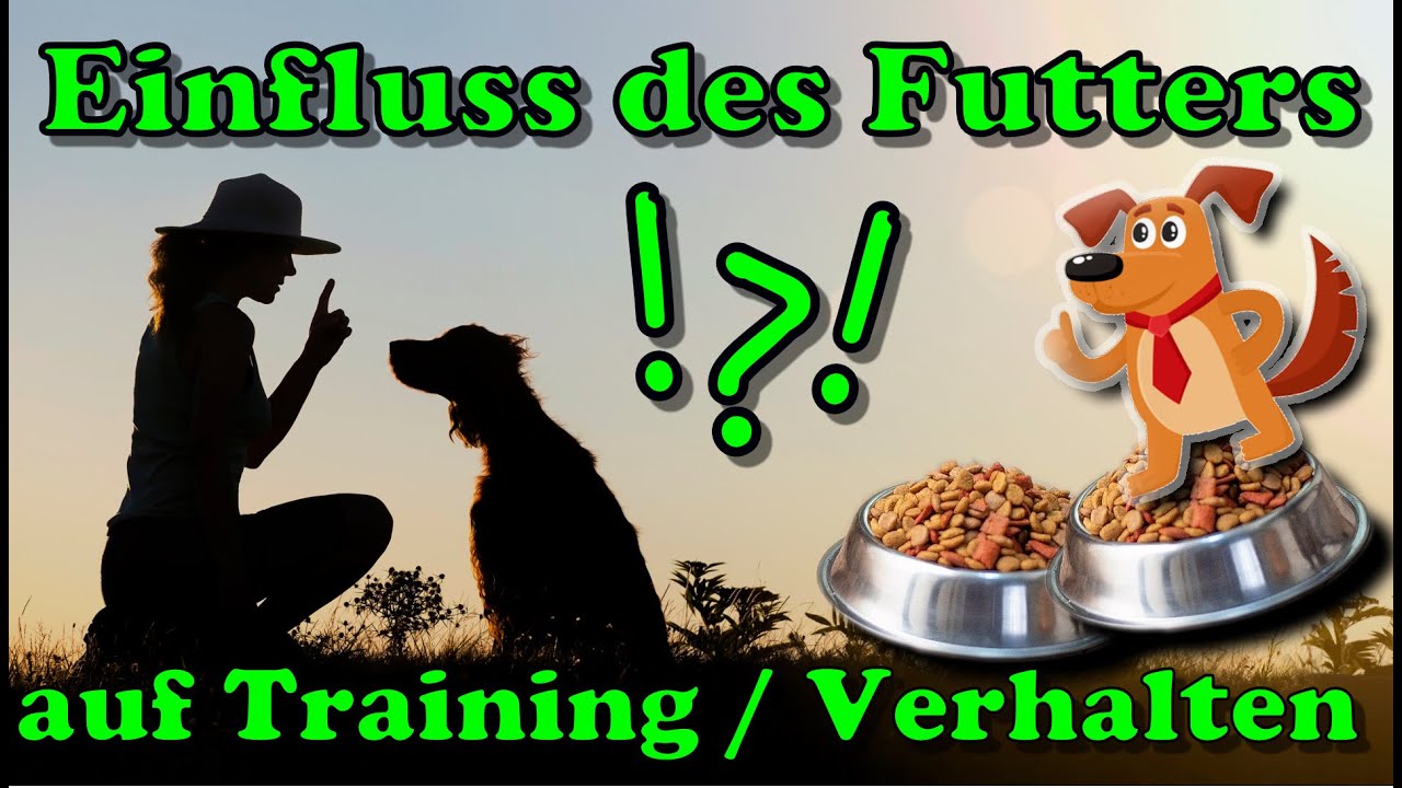 Hundefutter beeinflusst sehr stark (!) das Verhalten deines Hundes & damit das Hundetraining !!! 😯😮