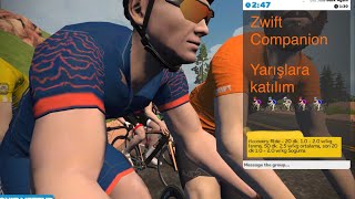 Zwift Yarış Ve Etkinliğe Katılma. Zwift Companion