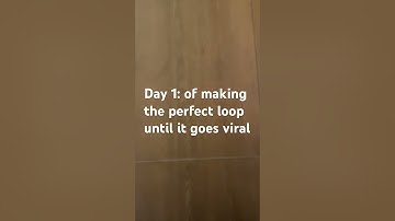 Day 1 of making the perfect loop until I go viral